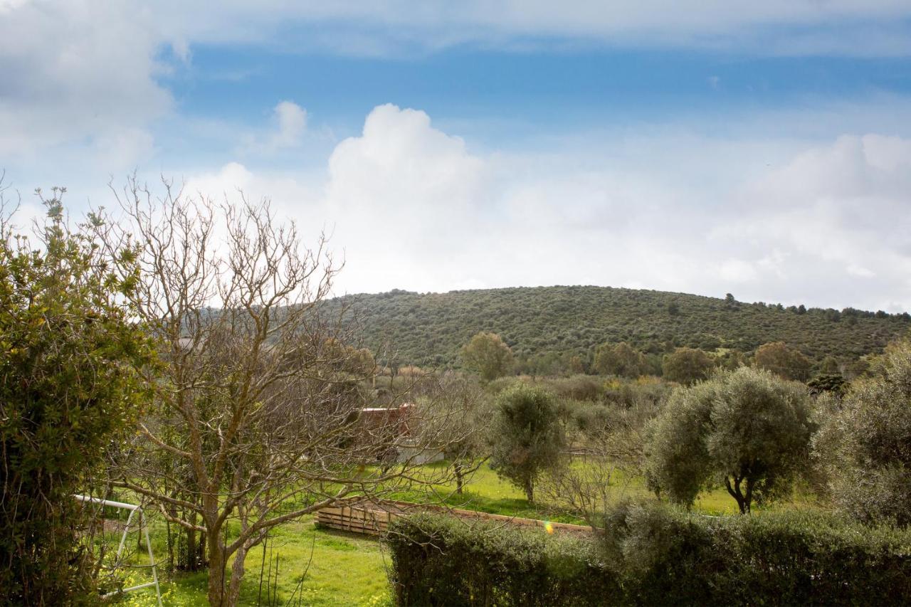 Alghero In Bicicletta エクステリア 写真