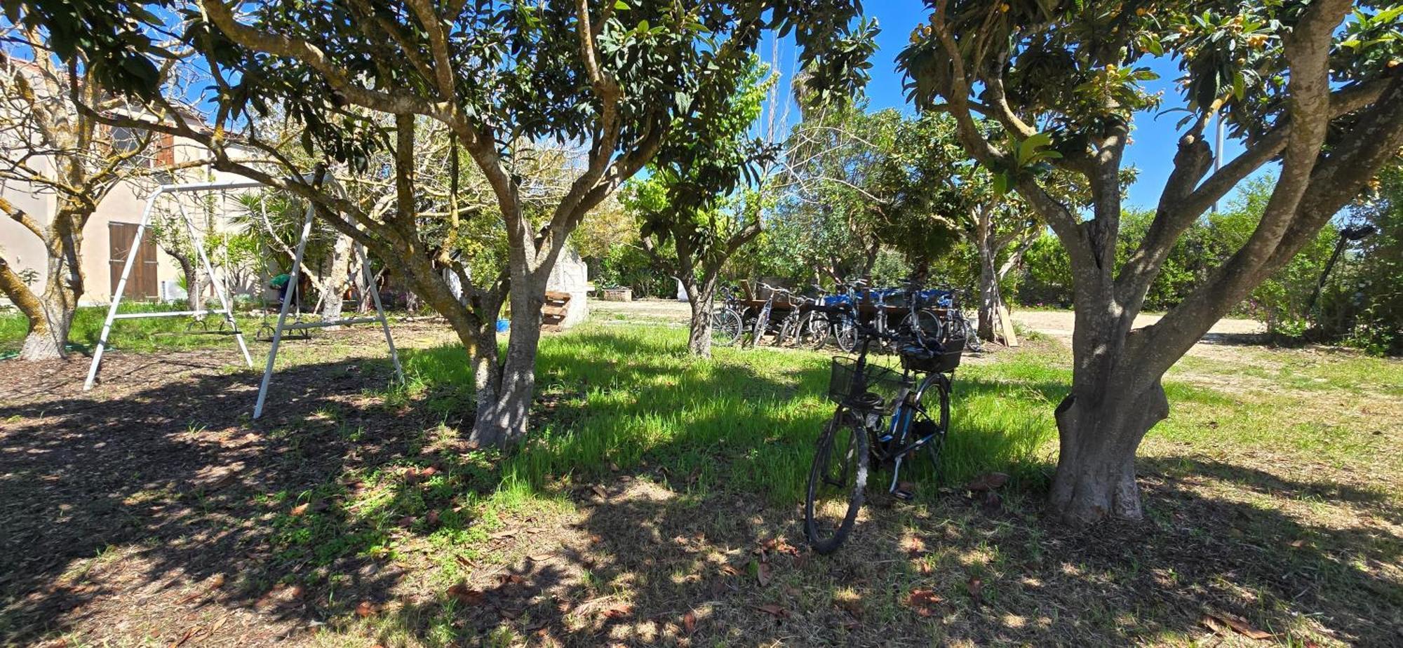 Alghero In Bicicletta エクステリア 写真